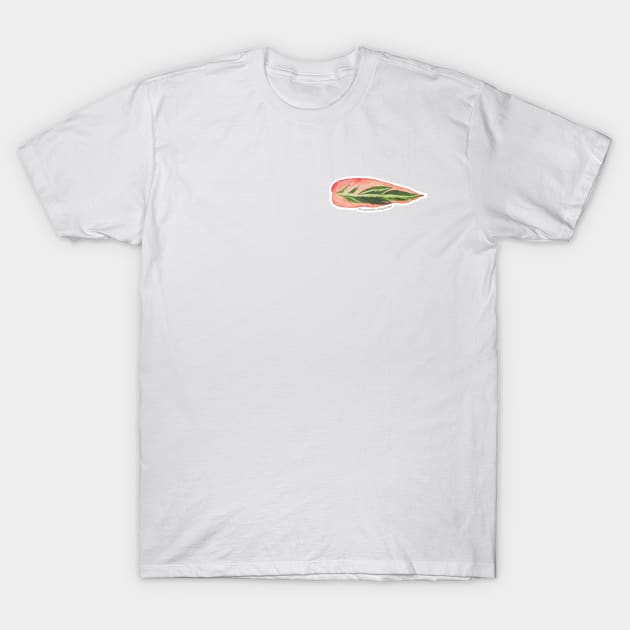 Stromanthe Sanguinea | Plant T-Shirt by Hi I'm not Lara